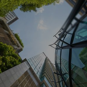 ESG and Strategic Sustainability expertise spotlight