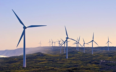 Windfarm over grass field
