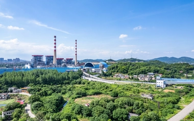 Thermal power plant chimney