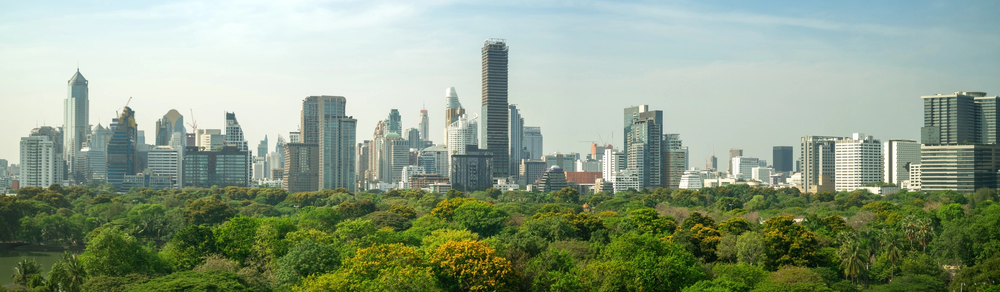 Circular economy and waste management