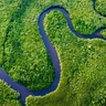Aerial view of Daintree River