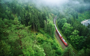 Train passing through forest