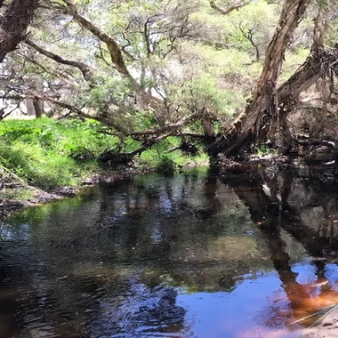 Pond at Bullsbrook - Water PFAS