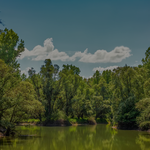 water integrated water management expertise spotlight