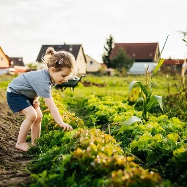 Young girl helping family urban farm