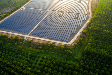 solar panels on an energy farm