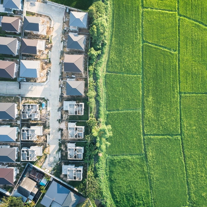 448545115_green field in aerial view