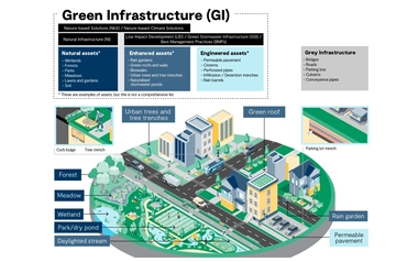 Green Infrastructure_Multimedia block_rev1.jpg