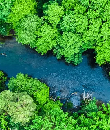 Vue aérienne de la forêt verte et de la rivière dans le parc national de Tuchola