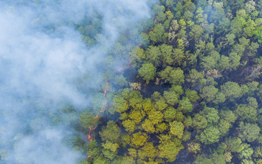 Wildfire burning through forest with smoke and flames