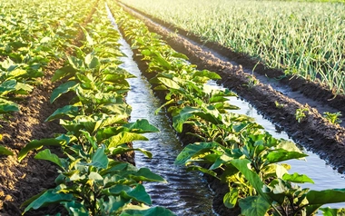 Irrigation system on a farm