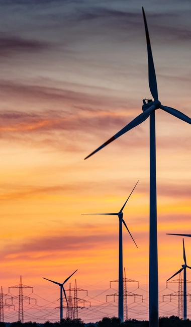 on shore wind farm and power lines
