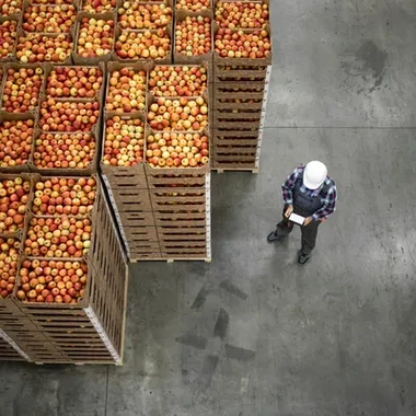 a worker in a apple warehoues
