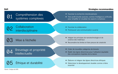 French infographic listing five biomimicry challenges with matching recommended strategies in blue horizontal sections