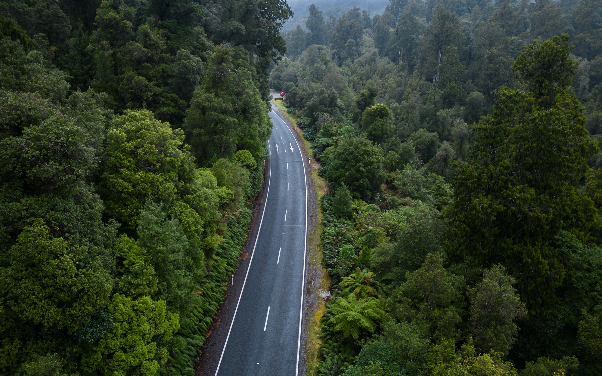 Aerial view of a road through forest terrain