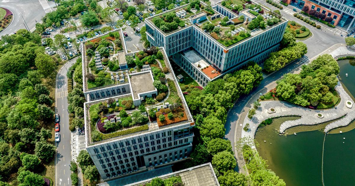 Blue Green Infrastructure | Future of Water | GHD