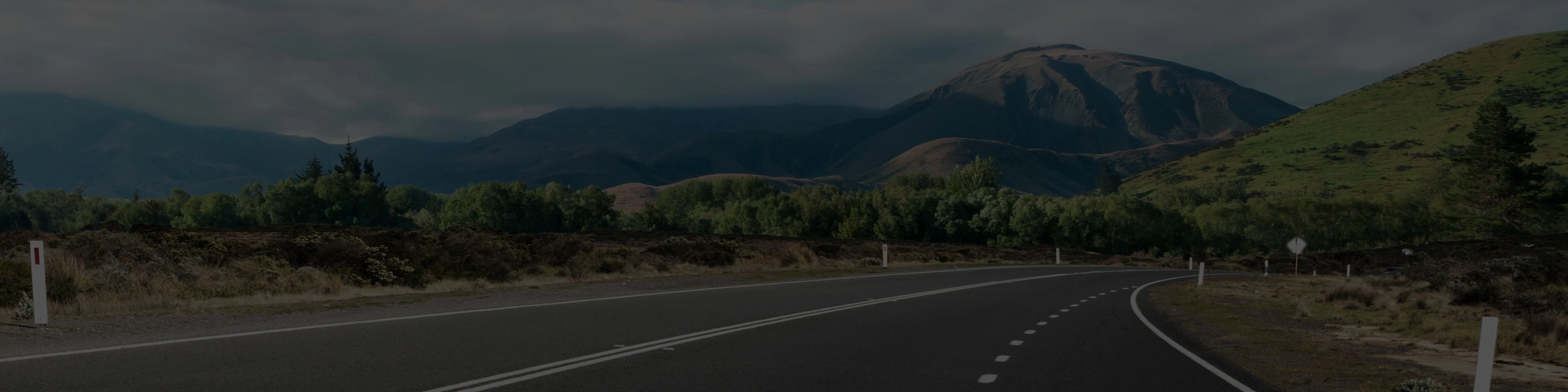 animated counter background