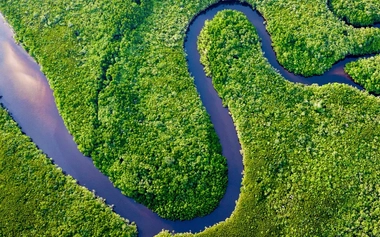 aerial view of Daintree River
