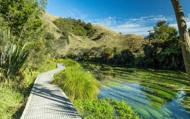 Te Waihou walkway