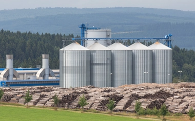 Biomass Cogeneration Plant