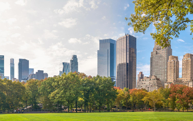 City park and skyscrapers