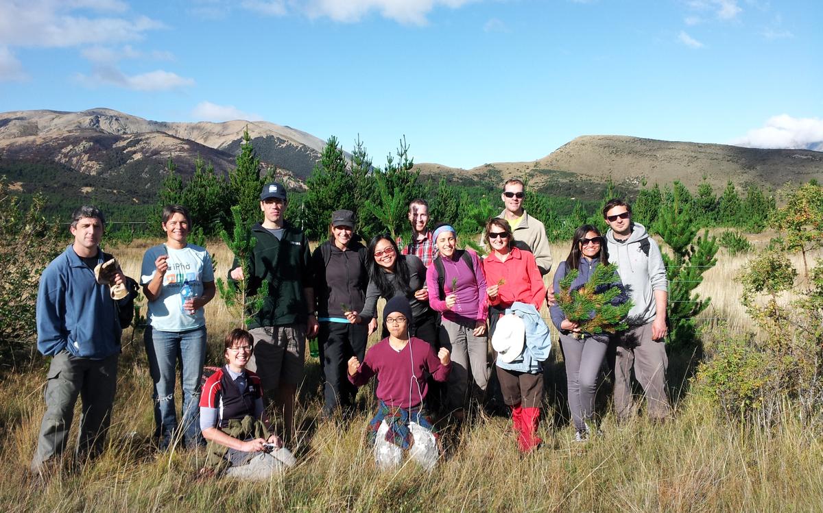 GHD volunteers in tree planting activity in NZ