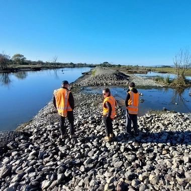Waitaki Street Wetland