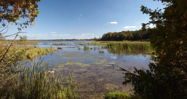 Sackville river