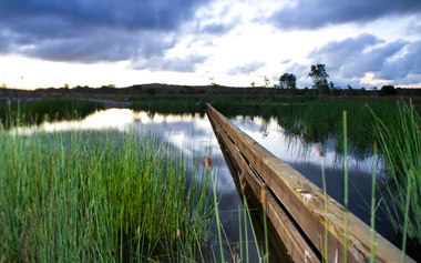 passerelle en bois au-dessus des marais