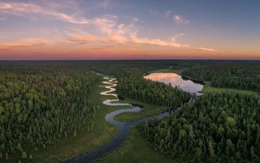 Aerial view of forest lake