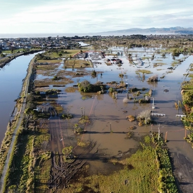 Waitaki Street Wetland