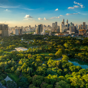 City and Park View