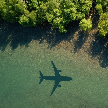 Aerial view of a forest and water with an airplane shadow on the surface.jpeg