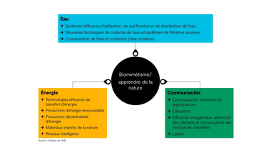 Biomimicry_images_French