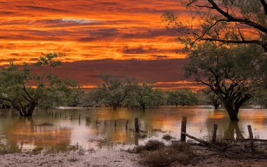 Flooded Darling River