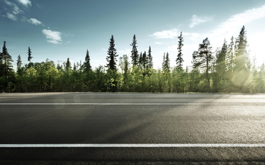 asphalt road in forest