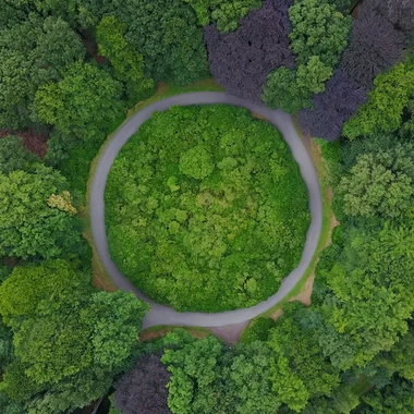 aerial-view-roundabout-and-trees