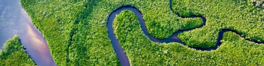 Aerial view of Daintree River