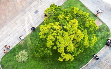 Public garden