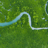 Aerial view mangrove jungles