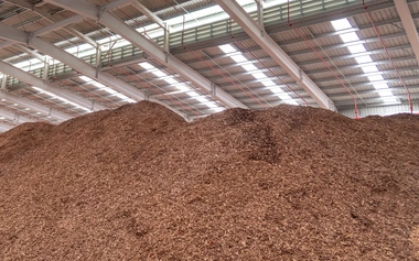 Large woody biomass