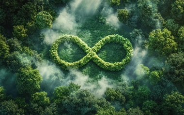 Inifnity sign made of foliage