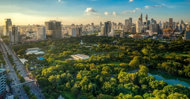 City and Park View from the top