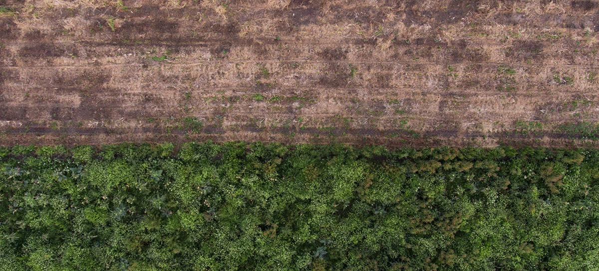 Sustainable Brownfield Property Value Unlocking GHD Insights