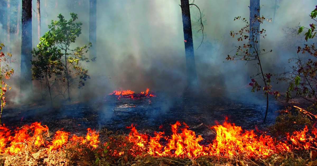 Automated wildfire monitoring and reporting | GHD Projects