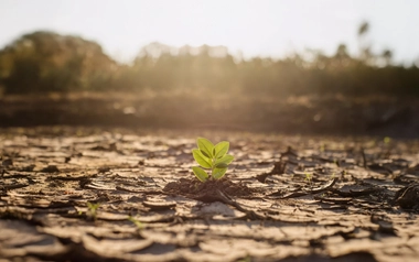 Water environmental impacts LA