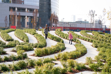Landscaped garden