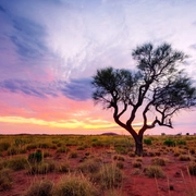 Water management in the Pilbara.jpeg