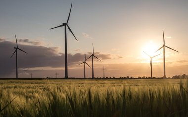 Scenic landscape with wind turbines in a green crop field at sunset