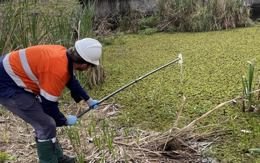 Water sampling photo.jpg